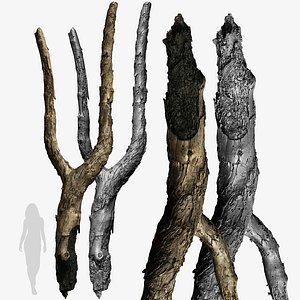 3D Burnt Tree Trunk 8x4k 1x16k 3x16k Textures Raw 3D scan