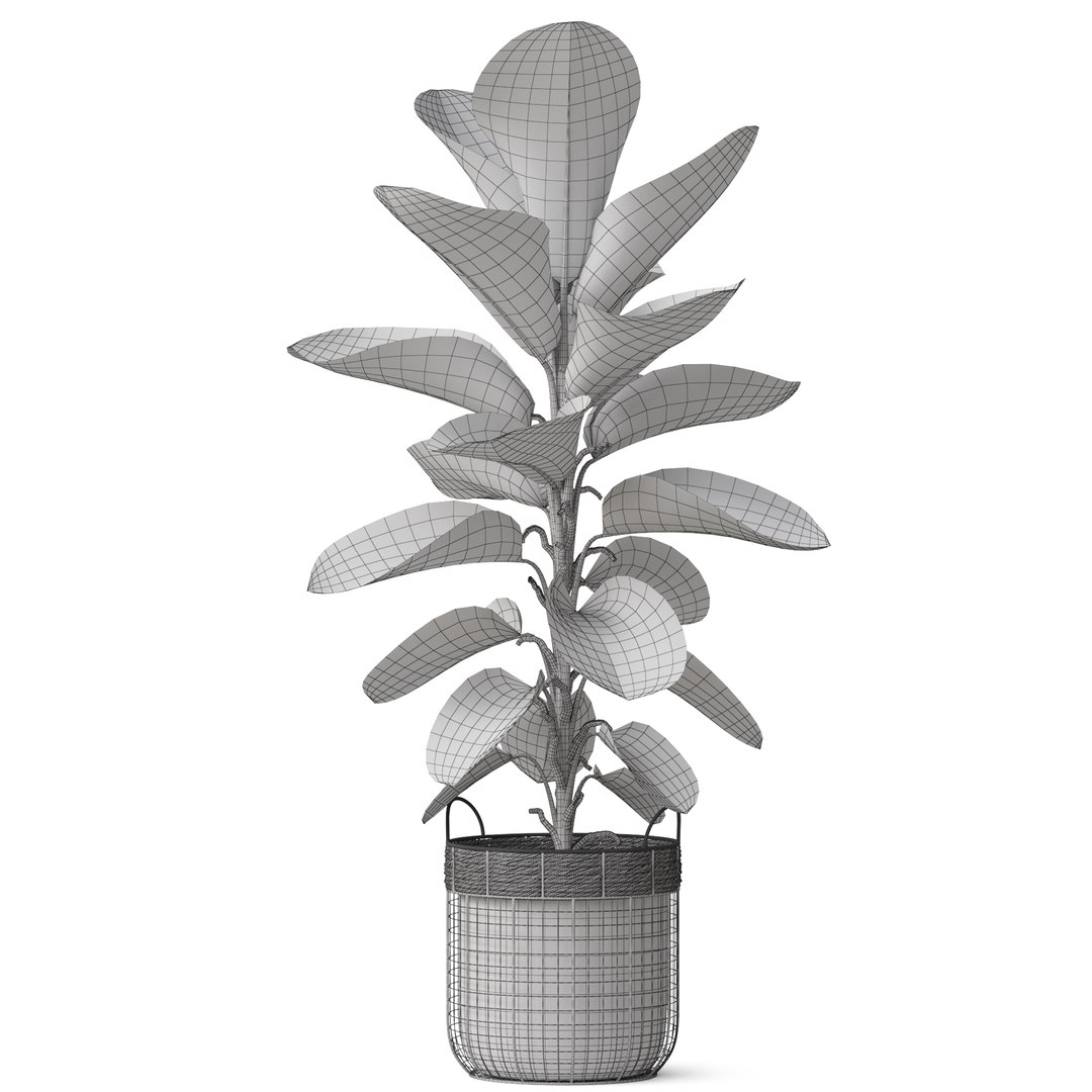 3D Plants collection 801 model https://p.turbosquid.com/ts-thumb/Fq/3DBV4L/XZ/plant_801_04/jpg/1664081881/1920x1080/fit_q87/394d0c6d95396087ead53b1a56cee7ac09338fb4/plant_801_04.jpg