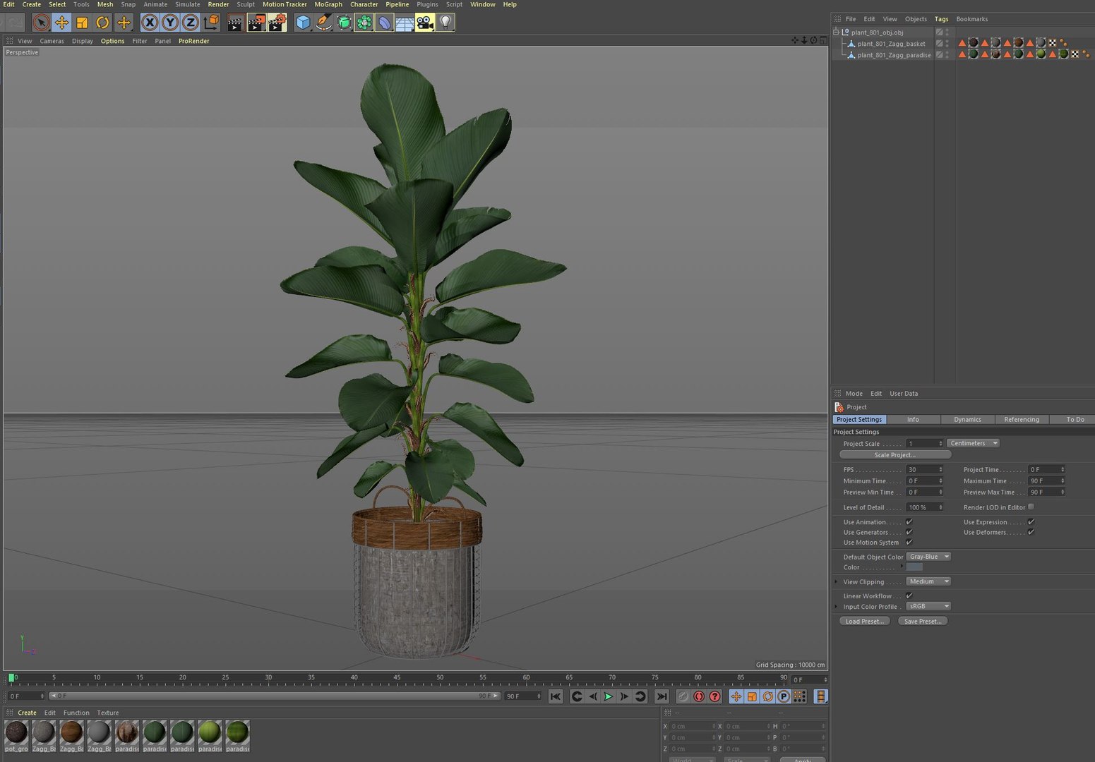 3D Plants collection 801 model https://p.turbosquid.com/ts-thumb/Fq/3DBV4L/v6/plant_801_07/jpg/1664081882/1920x1080/fit_q87/94c95a9ea1c81cc1ba24200eb2c9fe374419acb2/plant_801_07.jpg