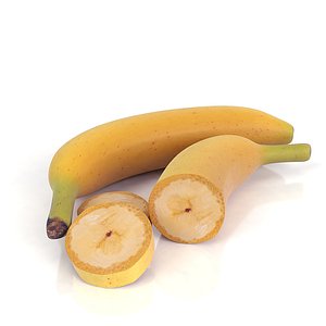 3d realistic banana set model