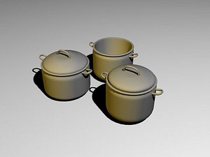 Stock pot