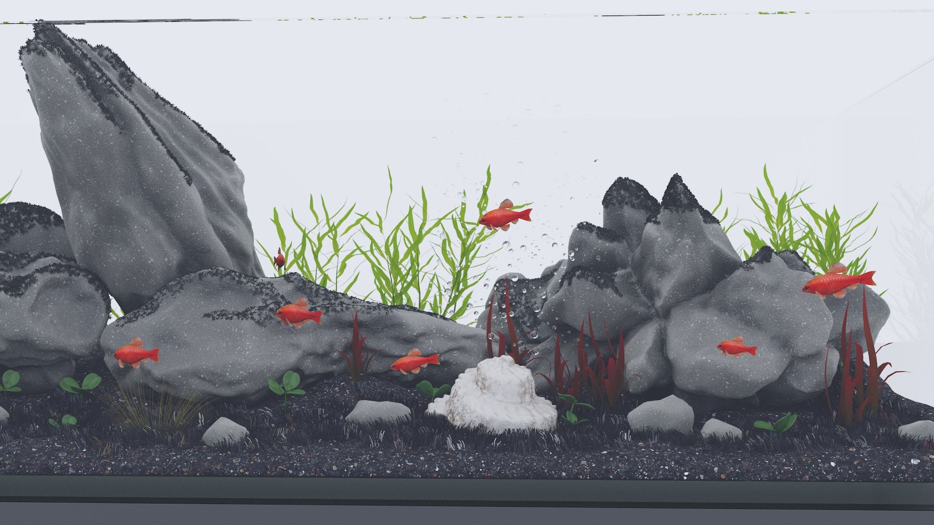 Freshwater Aquarium Rockscape With Plants And Fish 3D - TurboSquid 2324124