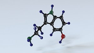 Serotonine-Molecular Model