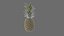Pineapple Realtime