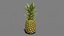 Pineapple Realtime