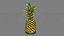 Pineapple Realtime