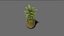Pineapple Realtime