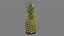 Pineapple Realtime