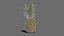 Pineapple Realtime
