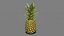 Pineapple Realtime
