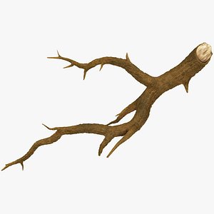 tree branch 3D
