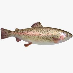 Trout (Animated)