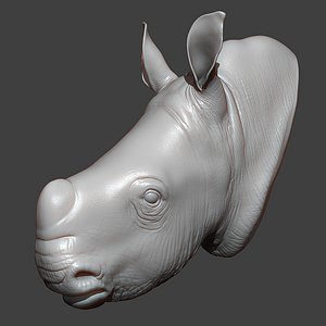 3D Rhino Baby Head Highpoly Sculpt