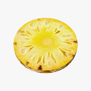 Prop15 A Slice of Pineapple