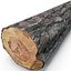 Wood Log