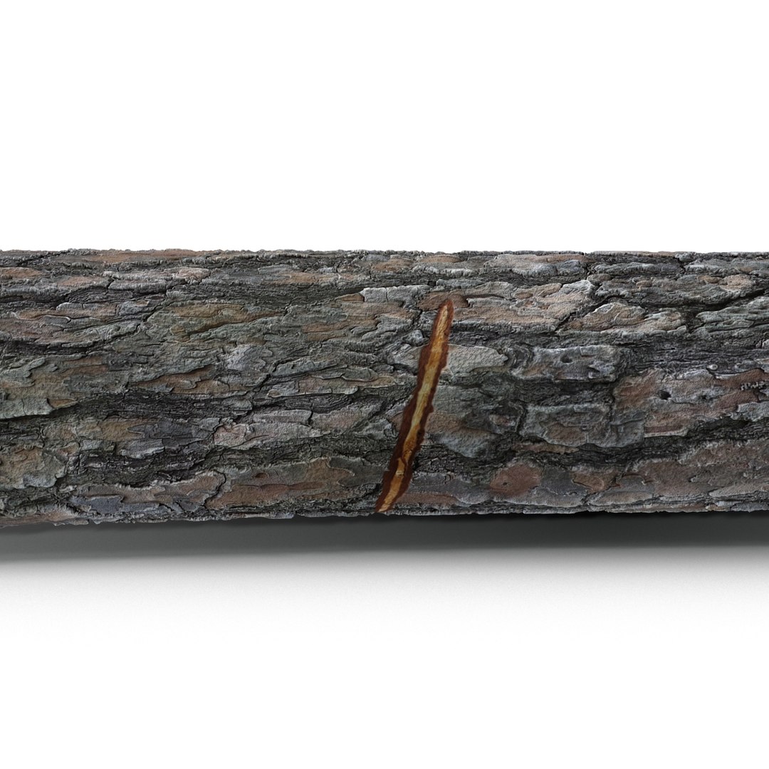 max wood log https://p.turbosquid.com/ts-thumb/Fq/ykwjsx/y1VYYSOk/woodlog_17/jpg/1405717582/1920x1080/fit_q87/23ccedec1e5b12e58d10b65b3d3fb1401116b8cb/woodlog_17.jpg