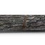 Wood Log