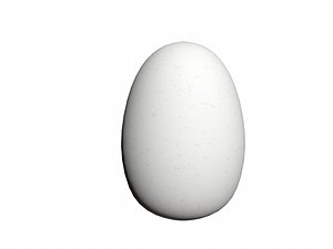 3d duck egg