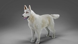 3D Fur White Dog NO Rig model