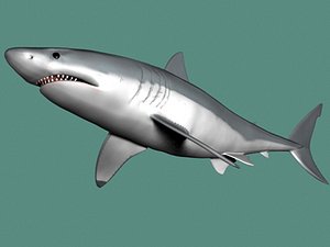 GWsharkandbones.lwo