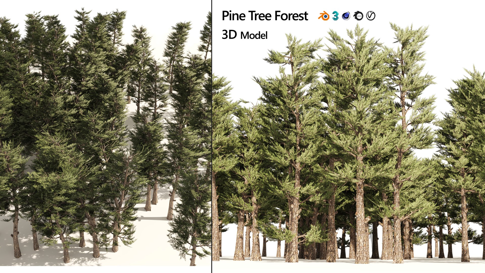 Pine forest trees 3D https://p.turbosquid.com/ts-thumb/Fr/DhsN5j/fn/artcover/jpg/1659221367/1920x1080/fit_q87/bd8be3f27ef4f52a2030d000a23c0af51f3ad176/artcover.jpg