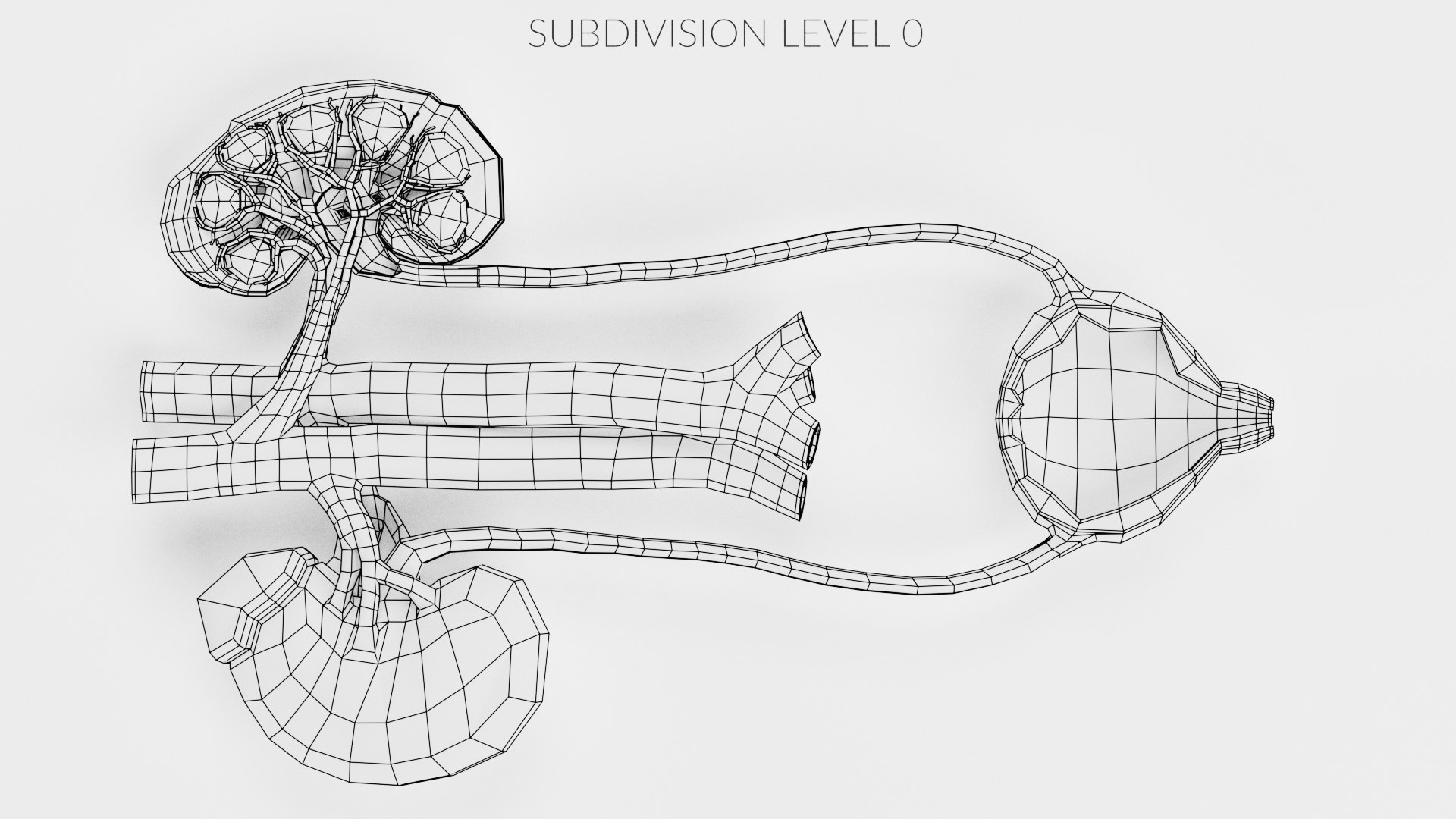 Urinary System Section 2 3D Model - TurboSquid 1716381