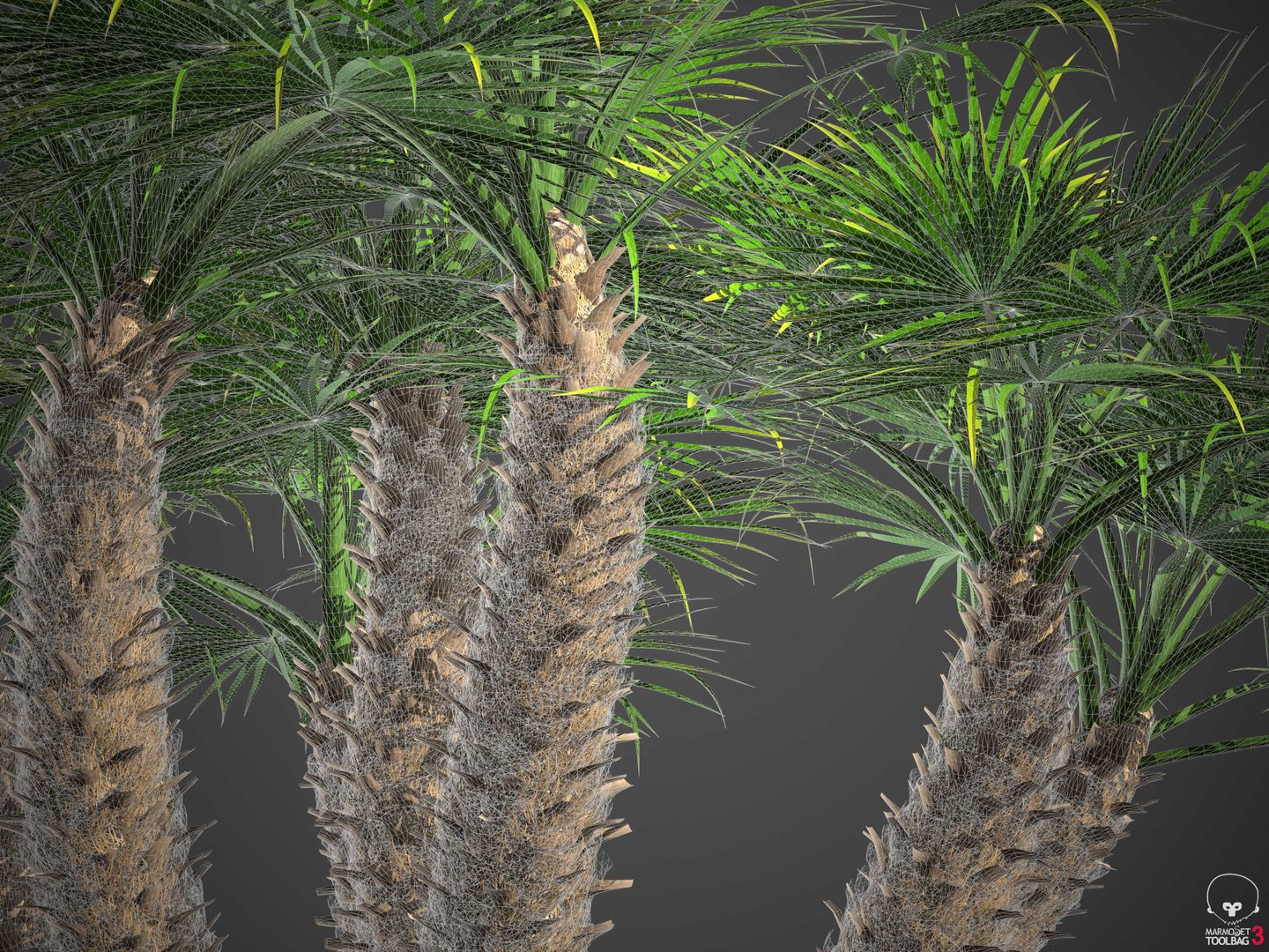 XfrogPlants Mediterranean Fan Palm - Chamaerops Humilis model https://p.turbosquid.com/ts-thumb/Fr/ONpi6T/aZ/wireframe3/jpg/1619735584/1920x1080/fit_q87/110233cc6b0a6fd0c91486f6cc04430154527c0c/wireframe3.jpg