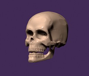 3D SKULL for 3D print model