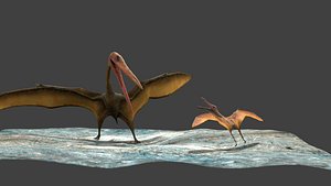 3d model fighting pterosaur