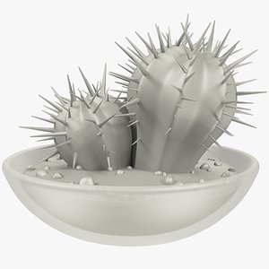 Cactus in Transparent Pot V1