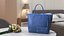 Designer Tote Bag with Small Purse