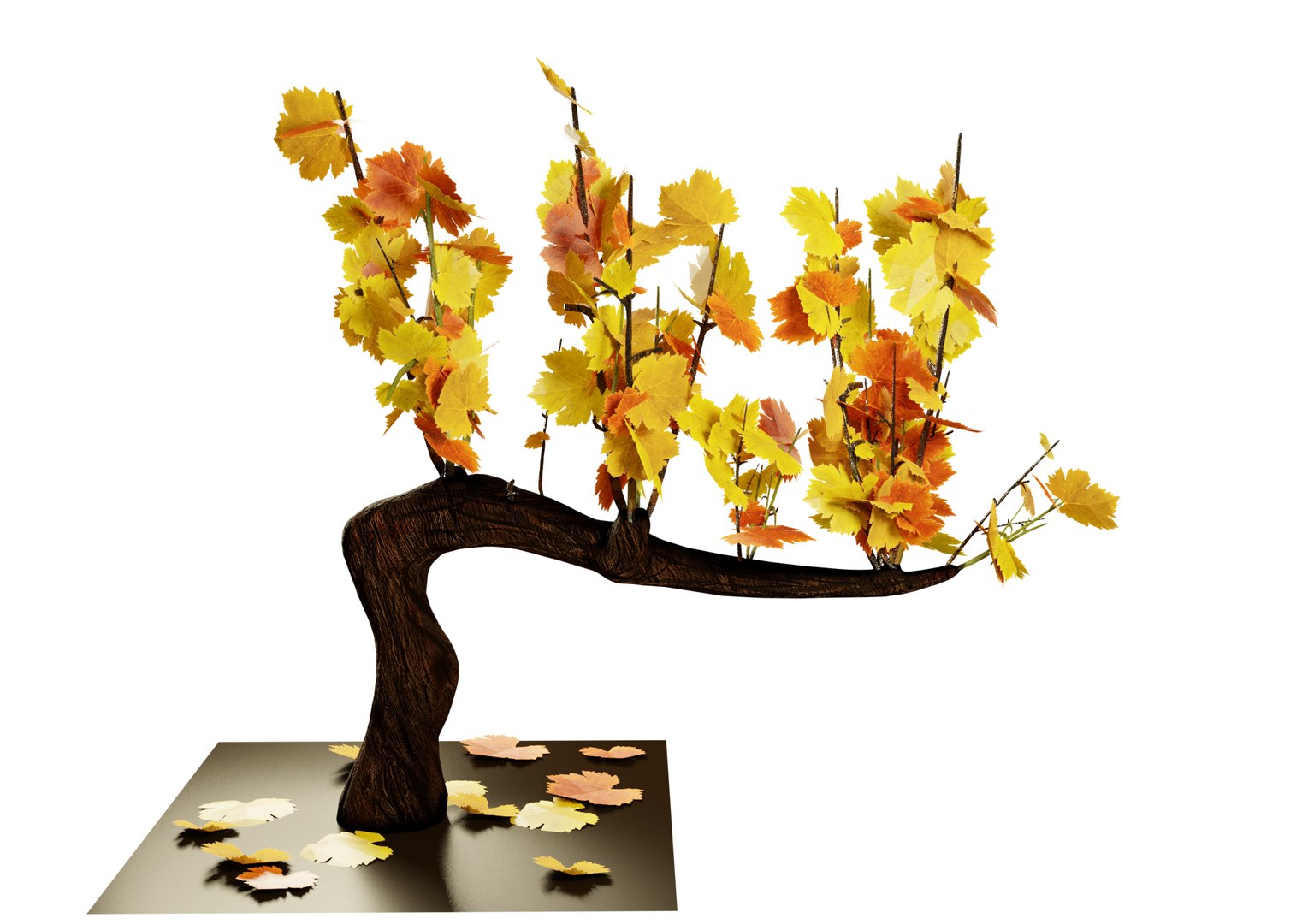 3D Guyot vine plant https://p.turbosquid.com/ts-thumb/Fr/wxRYUz/gL/vite2haightautunno/png/1635526194/1920x1080/fit_q87/8c734529822f8133bdb9d103e2d3b0d7c35d8f3f/vite2haightautunno.jpg