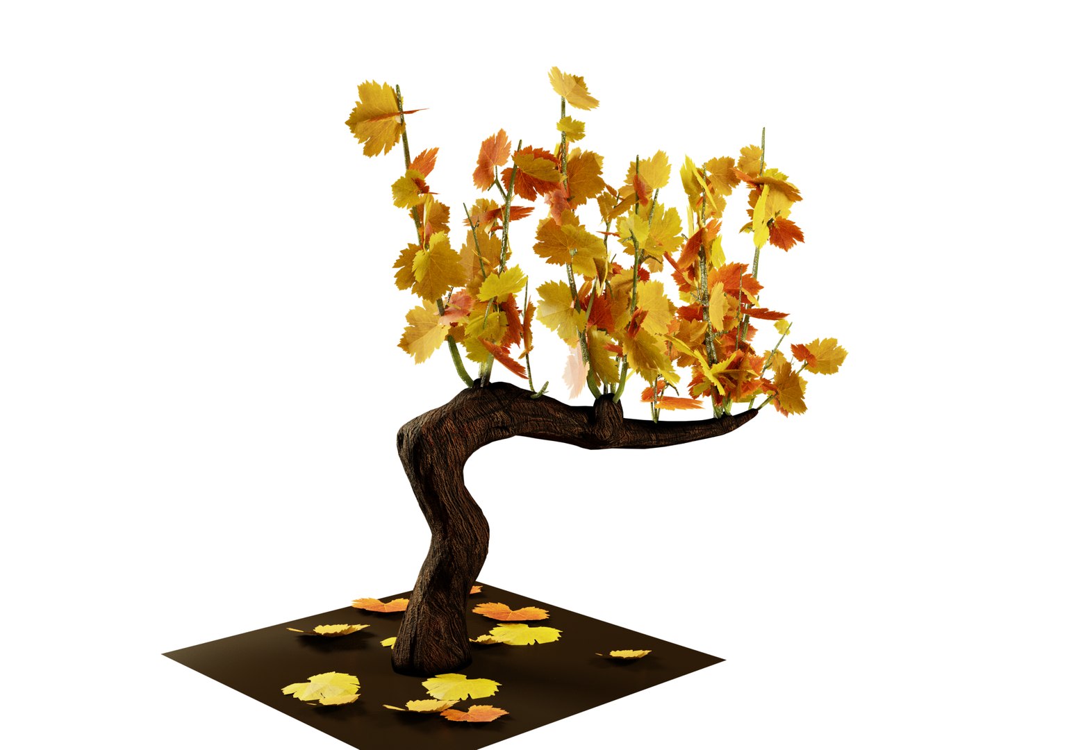 3D Guyot vine plant https://p.turbosquid.com/ts-thumb/Fr/wxRYUz/uk/vite1haightautunno/png/1635526386/1920x1080/fit_q87/f85240d000d64ea8db20b598bd23e188ae3a607f/vite1haightautunno.jpg
