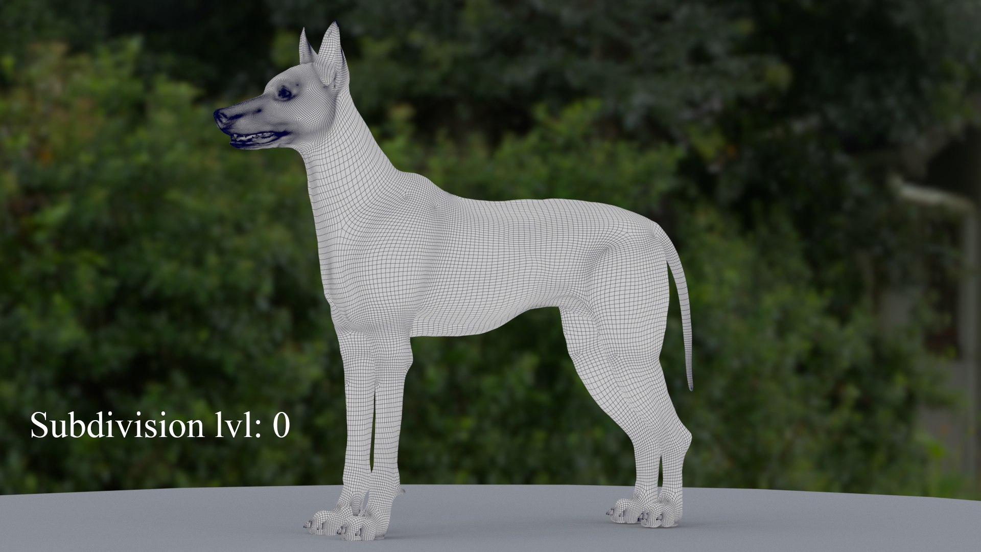 3D Husky RIGGED - TurboSquid 2312137