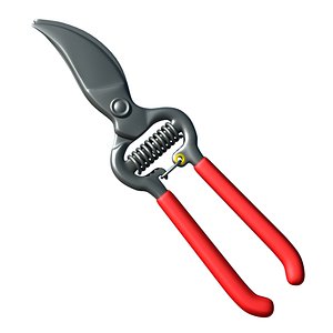 Pruning shears