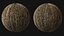 Textura de azulejo Water Oak PBR 8K