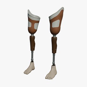 prosthetic leg 3D