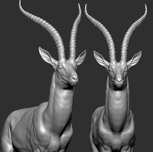 Gazelle 3D Models for Download | TurboSquid