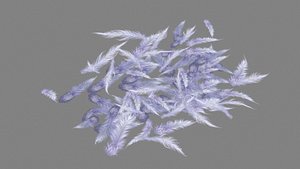 Cartoon bird feathers 3D model