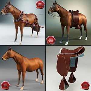 harnessed horses 3d model
