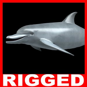 max dolphin rigged sea