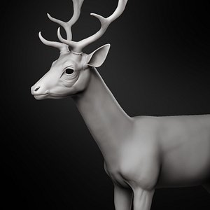 Red Deer Zbrush Sculpt