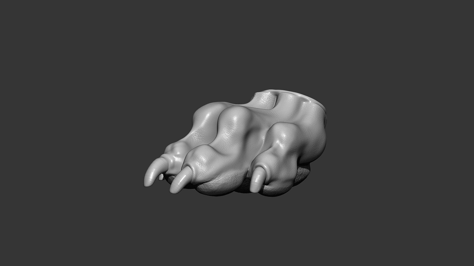 Dog Paw Highpoly Sculpt 3D model https://p.turbosquid.com/ts-thumb/Fs/femHXQ/Uw/greyhound_dog_front_paw_01/jpg/1635425012/1920x1080/fit_q87/6349dd5787ce5807dea7966900474764361c69f4/greyhound_dog_front_paw_01.jpg