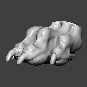 Dog Paw Highpoly Sculpt 3D model