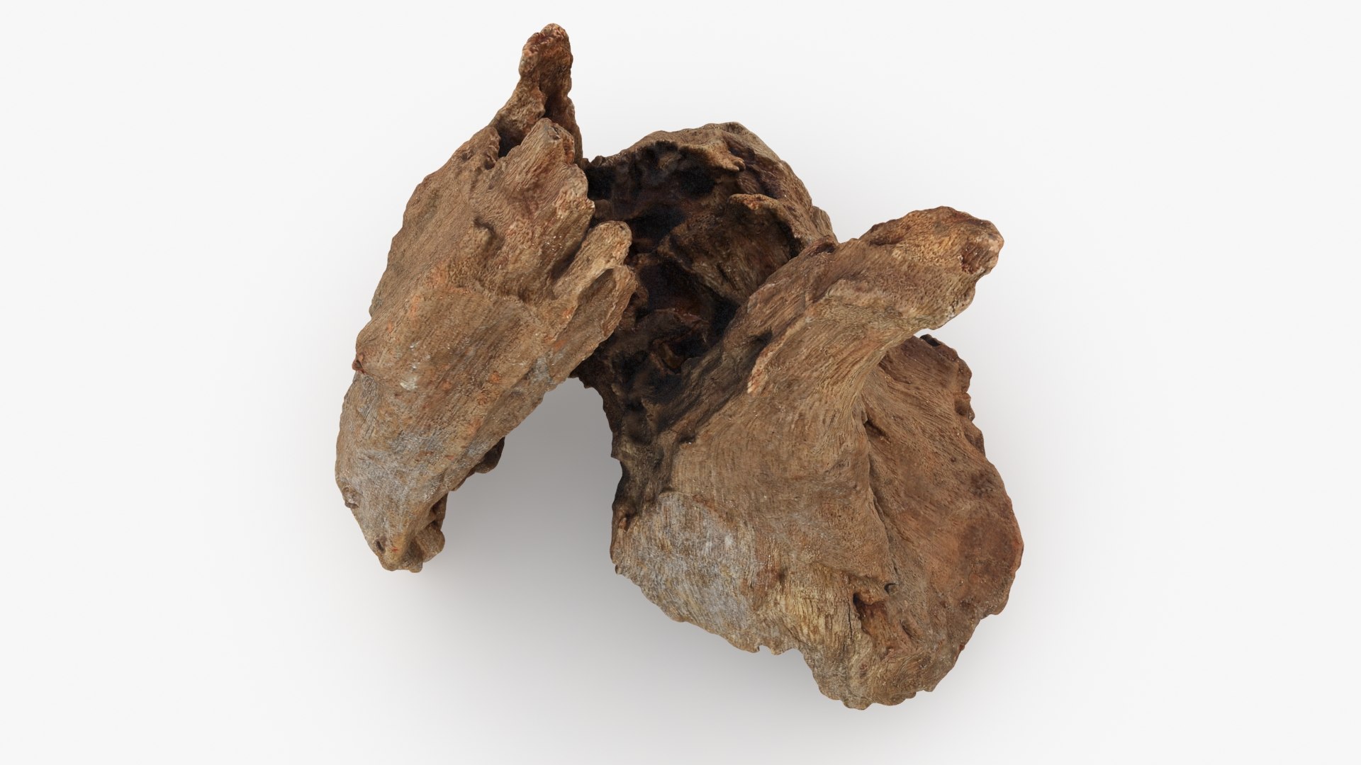3D Driftwood Piece 02 https://p.turbosquid.com/ts-thumb/Ft/6y9pL0/9V/driftwood02_b0014/jpg/1735380884/1920x1080/fit_q87/dd12febb1bdef4b5e57121c4892fe8f1420ec7a8/driftwood02_b0014.jpg