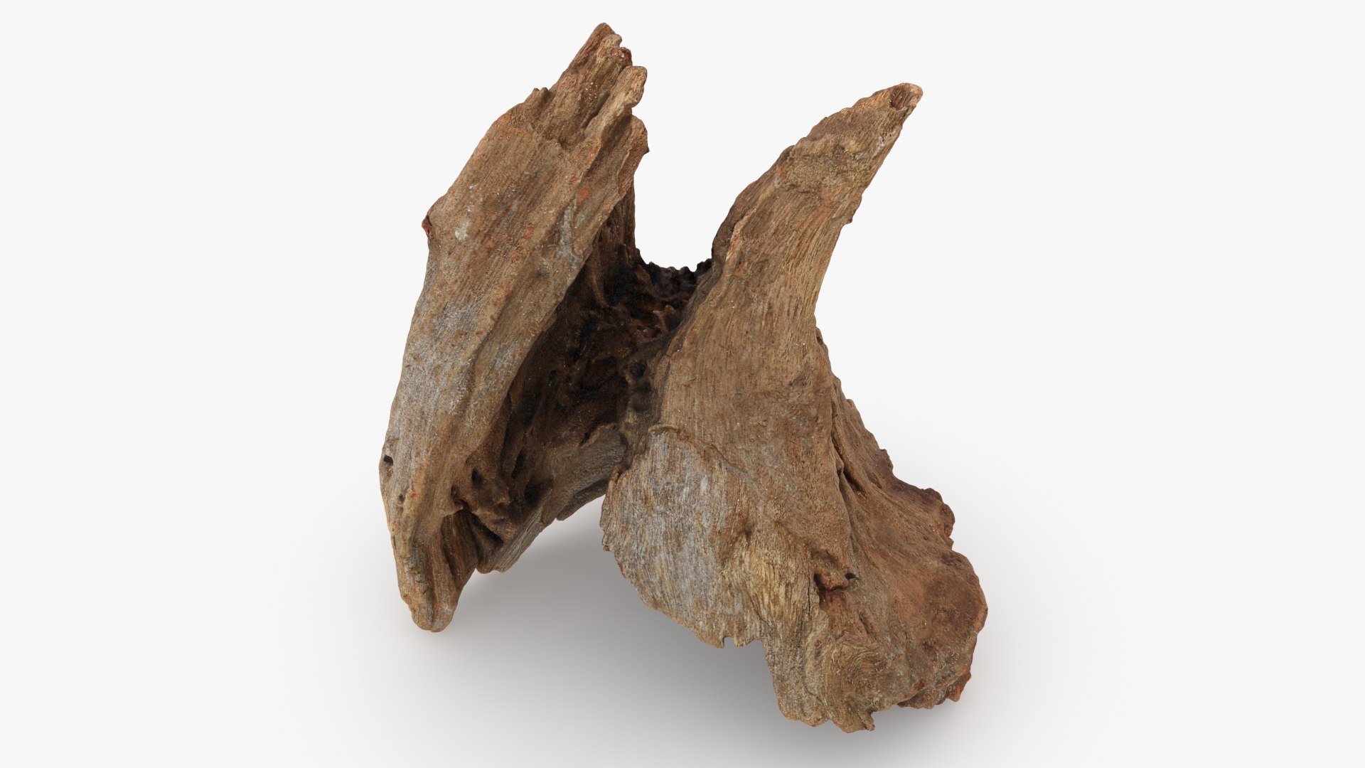 3D Driftwood Piece 02 https://p.turbosquid.com/ts-thumb/Ft/6y9pL0/Ej/driftwood02_b0002/jpg/1735380880/1920x1080/fit_q87/f940dfb61daab5a3b22d6f1ba59409a83fb5efa0/driftwood02_b0002.jpg
