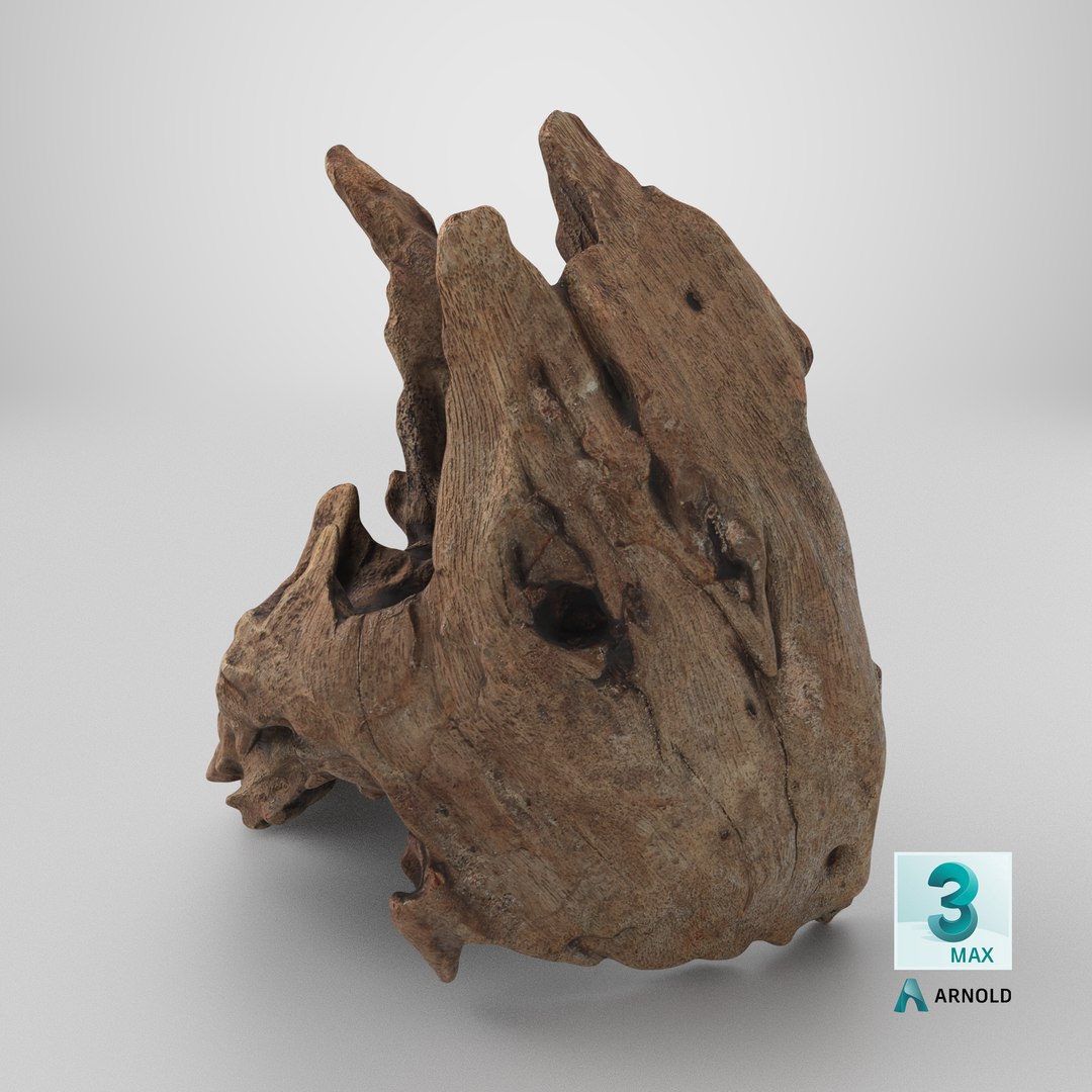 3D Driftwood Piece 02 https://p.turbosquid.com/ts-thumb/Ft/6y9pL0/HB/stemcell_max_arnold_render/png/1739382002/1920x1080/fit_q87/bb131517e1bcda470b13c719358abb38b663e23e/stemcell_max_arnold_render.jpg