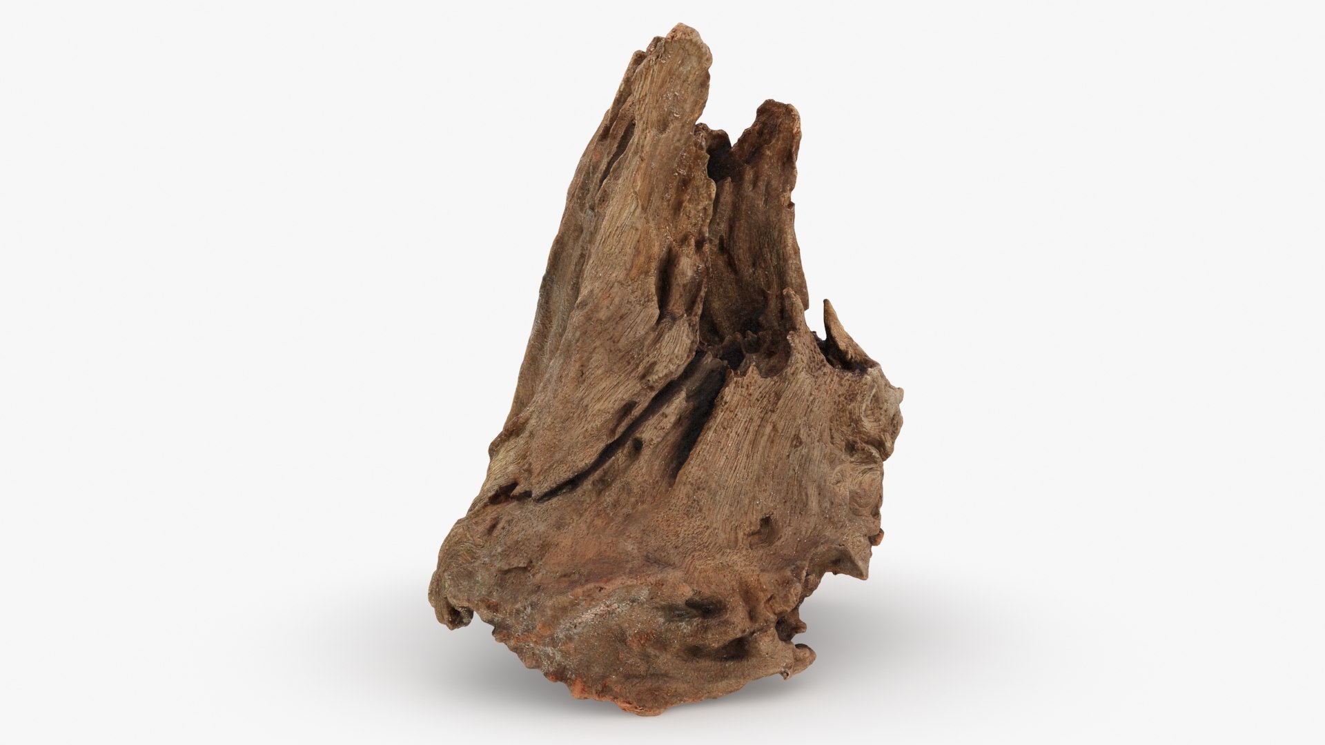 3D Driftwood Piece 02 https://p.turbosquid.com/ts-thumb/Ft/6y9pL0/K0/driftwood02_b0018/jpg/1735380886/1920x1080/fit_q87/99ae987367e793d56c50ecf21cc75a56960668ff/driftwood02_b0018.jpg