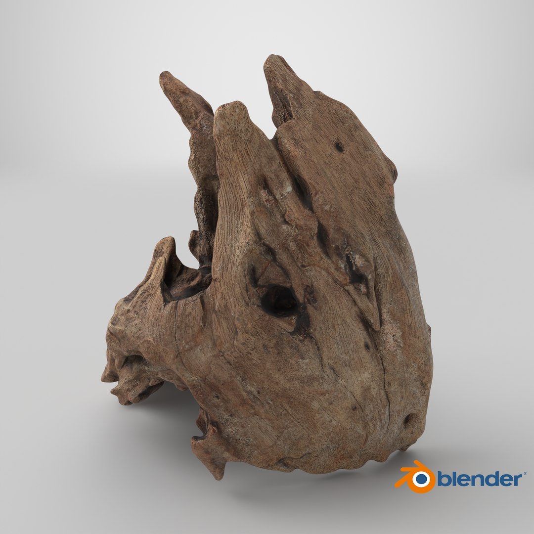 3D Driftwood Piece 02 https://p.turbosquid.com/ts-thumb/Ft/6y9pL0/NO/stemcell_blender_cycles_render/png/1739381980/1920x1080/fit_q87/f2cde48f97d8902990477c66856c4625cd2809f5/stemcell_blender_cycles_render.jpg
