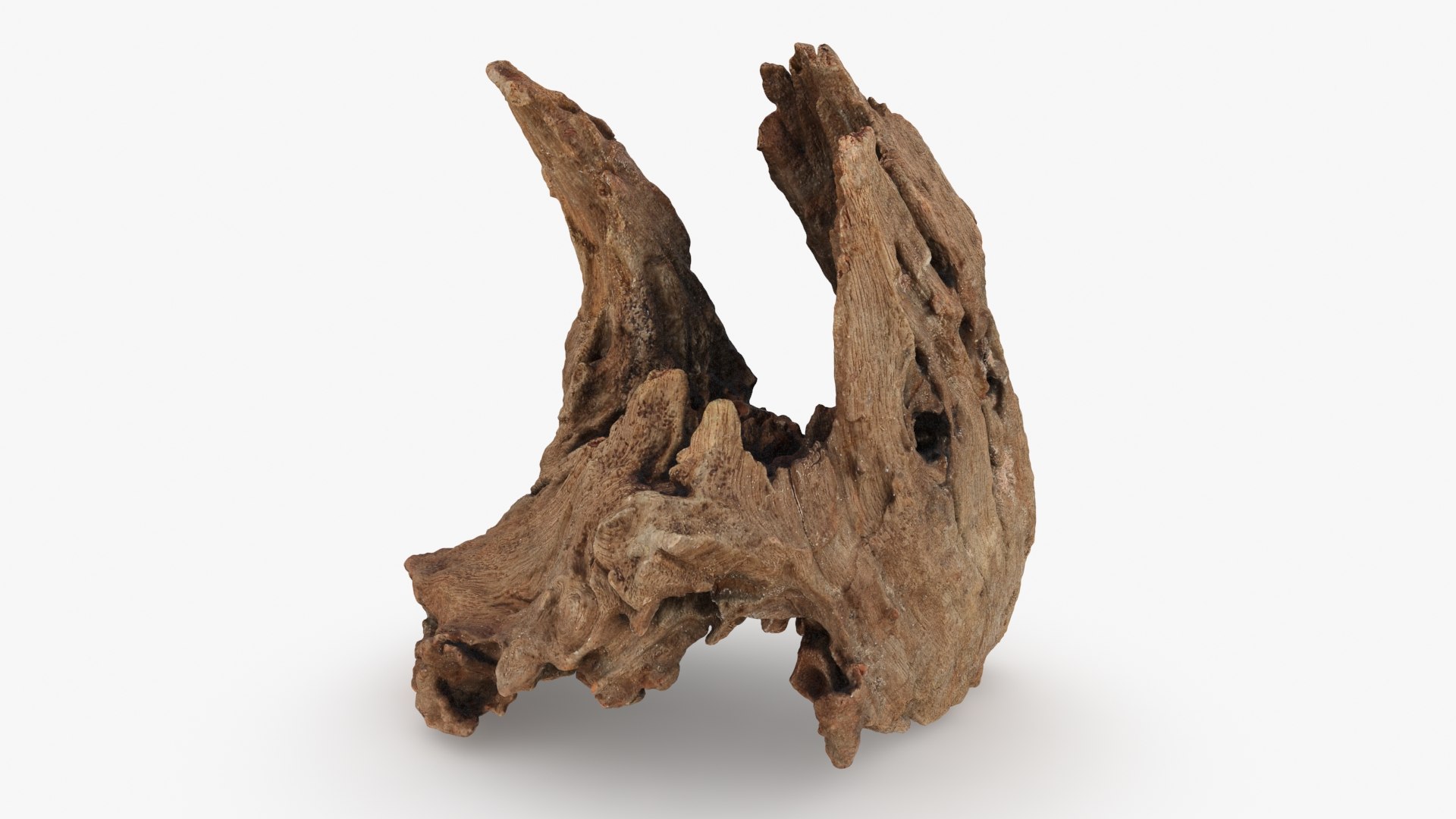 3D Driftwood Piece 02 https://p.turbosquid.com/ts-thumb/Ft/6y9pL0/Rt/driftwood02_b0004/jpg/1735380881/1920x1080/fit_q87/a3a0ef1a7bbfa47e96be6f77fe7191a7d439c43e/driftwood02_b0004.jpg